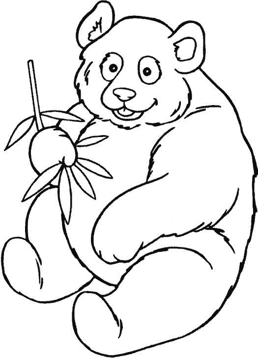 Раскраска панда кушает фрукты. Скачать Панда.  Распечатать Дикие животные