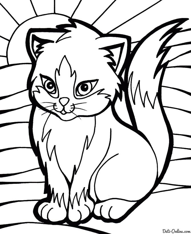 Раскраска Раскраска Красивая кошка. Домашние животные