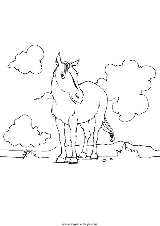 Раскраска Раскраски Лошади лошадка, облака, раскраски для детей. Лошадка