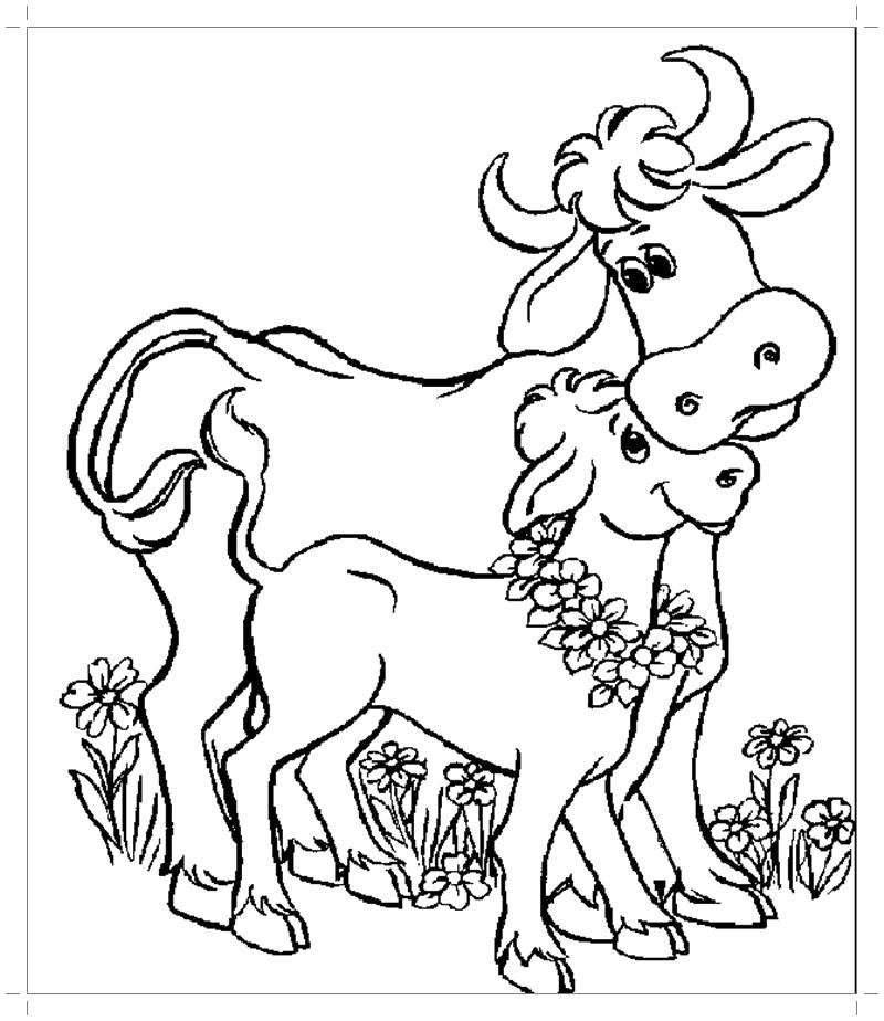 Раскраска Раскраска корова и теленок. Домашние животные