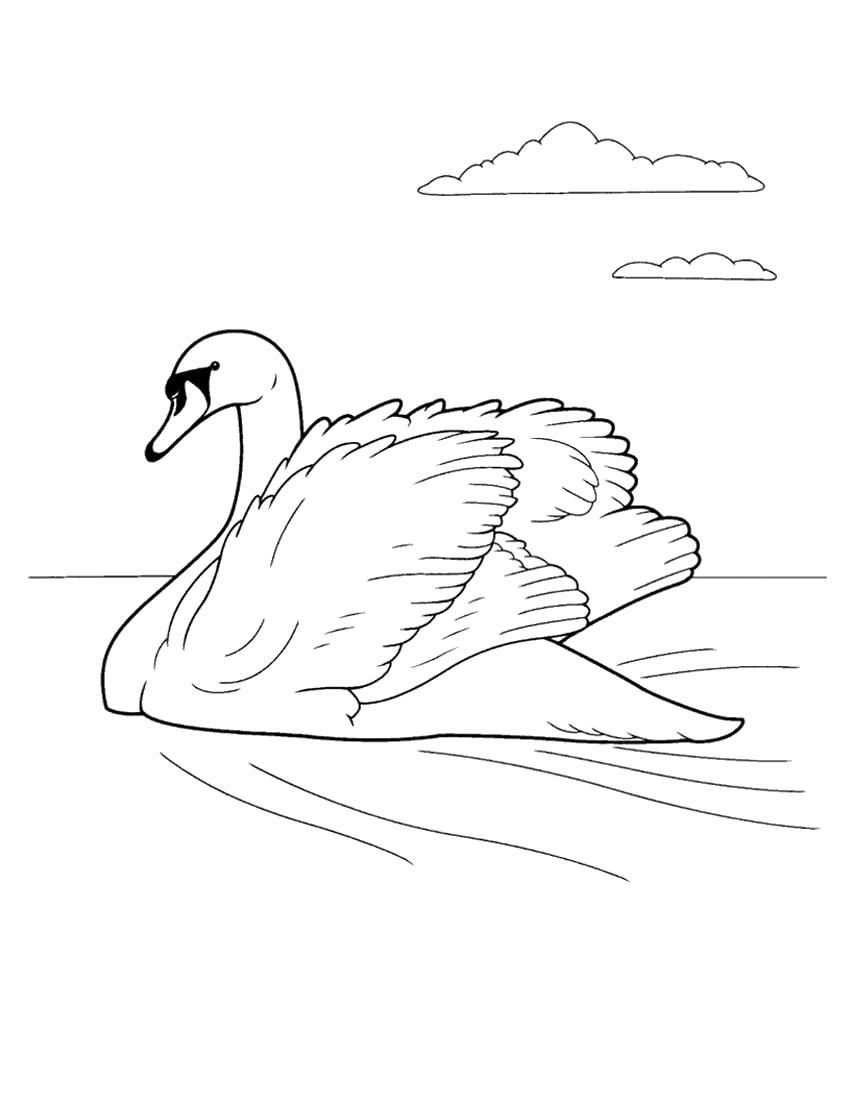 Название: Раскраска раскраски лебедь скачать. Категория: Лебедь. Теги: Лебедь.