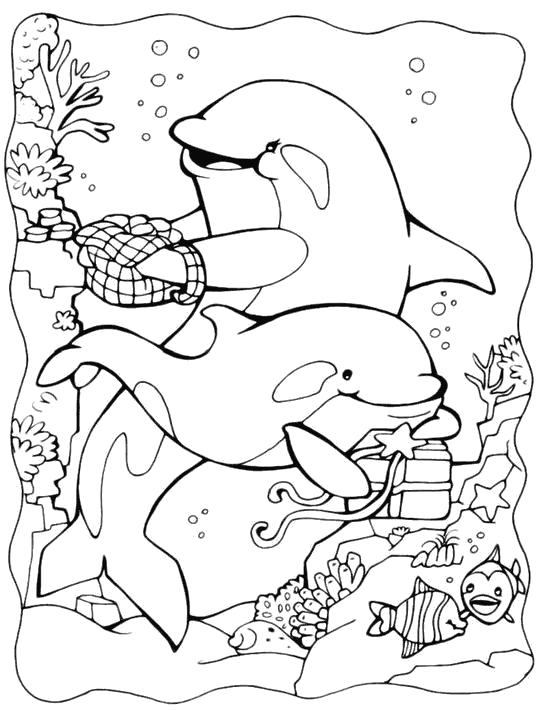 Название: Раскраска дельфины на дне моря. Категория: Морские животные. Теги: Дельфин.