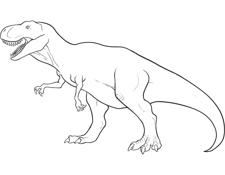 Раскраска Раскраски динозавры. динозавр