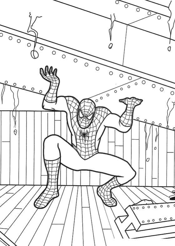 Название: Раскраска Человек паук поднимает тяжести. Категория: Человек Паук. Теги: Человек Паук.