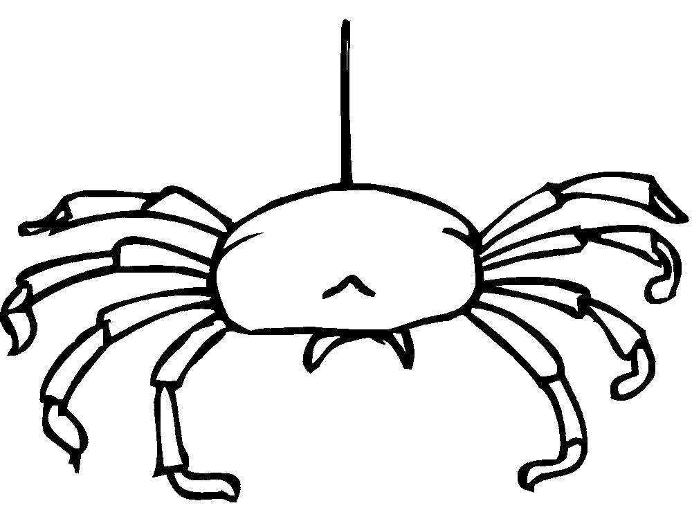 Название: Раскраска Раскраска паук висит на паутине. Категория: Паук. Теги: Паук.