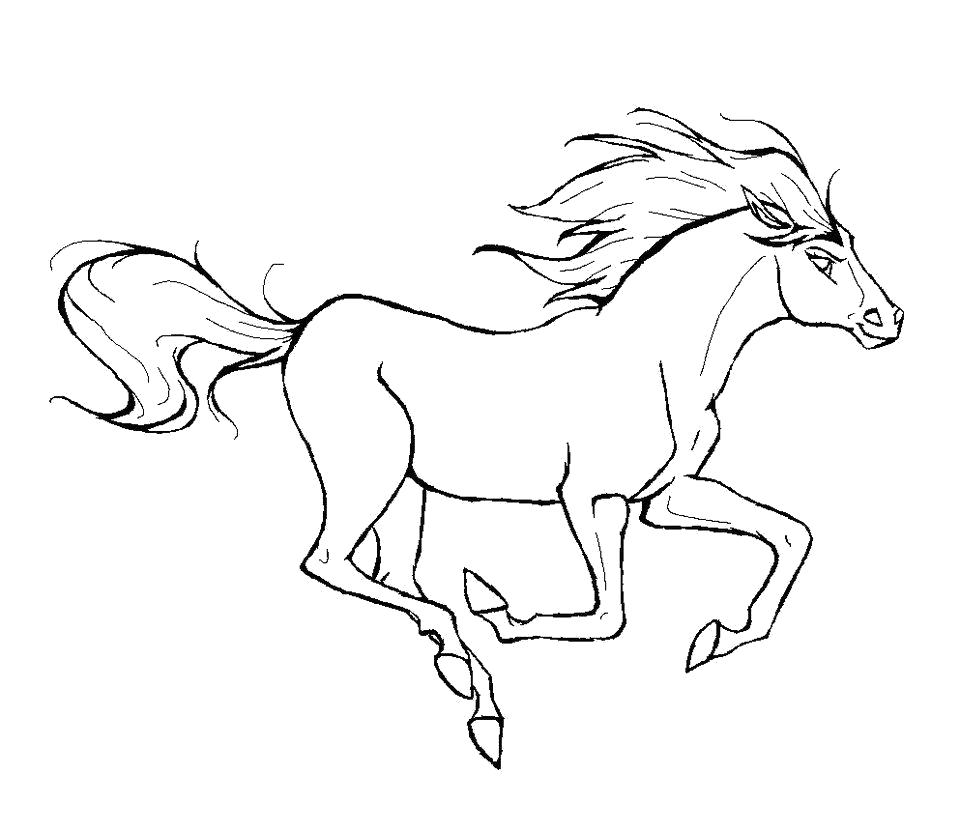 Раскраска Раскраска лошадь . Домашние животные