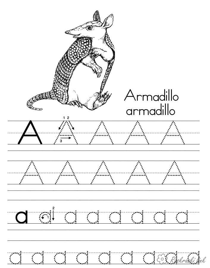 Раскраска  Прописи буквы бурундук животное армадило буквы а в разных формах. Скачать Прописи буквы.  Распечатать Прописи буквы