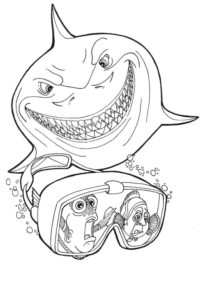Название: Раскраска Раскраски "акула для детей" . Категория: Морские животные. Теги: Акула.