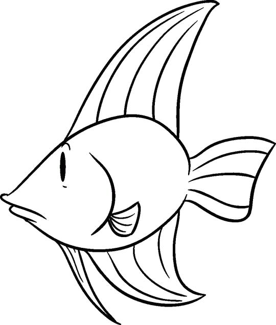 Раскраска Рисунок- маленькой рыбки с большими плавниками. Скачать рыба.  Распечатать Рыбы