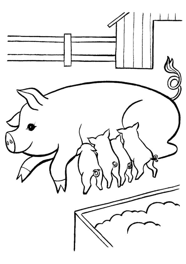 Название: Раскраска В деревне у бабушки. Раскраски. Свинья с поросятами. Категория: Домашние животные. Теги: Свинья.