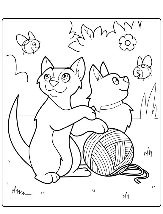 Название: Раскраска Котята с клубком. Категория: Домашние животные. Теги: кот.
