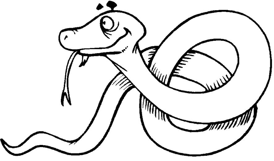 Название: Раскраска змея раскраска. Категория: Дикие животные. Теги: Змея.