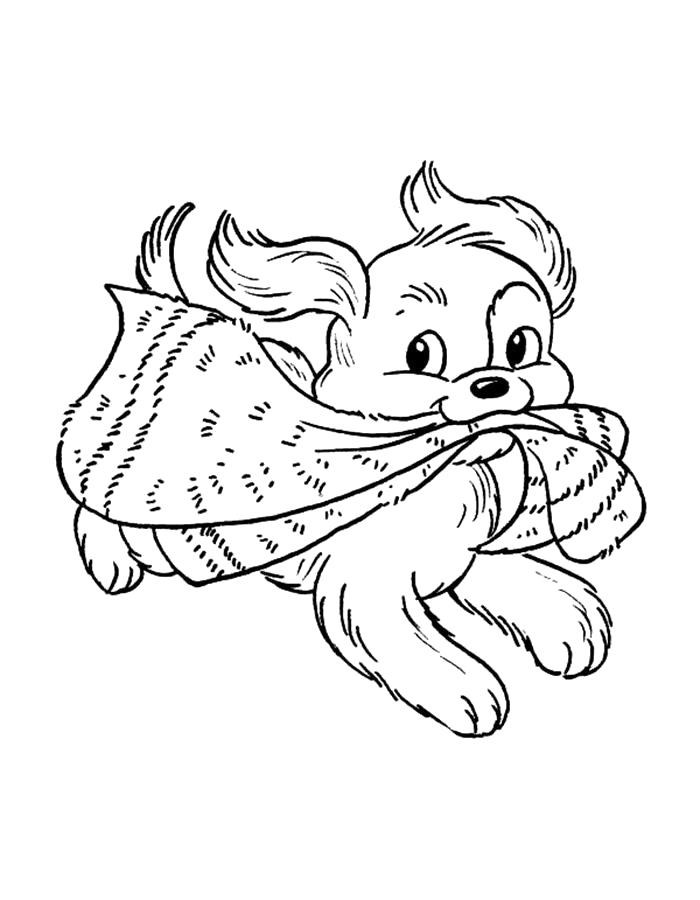 Раскраска Раскраска щенок играется с шарфом. Щенок