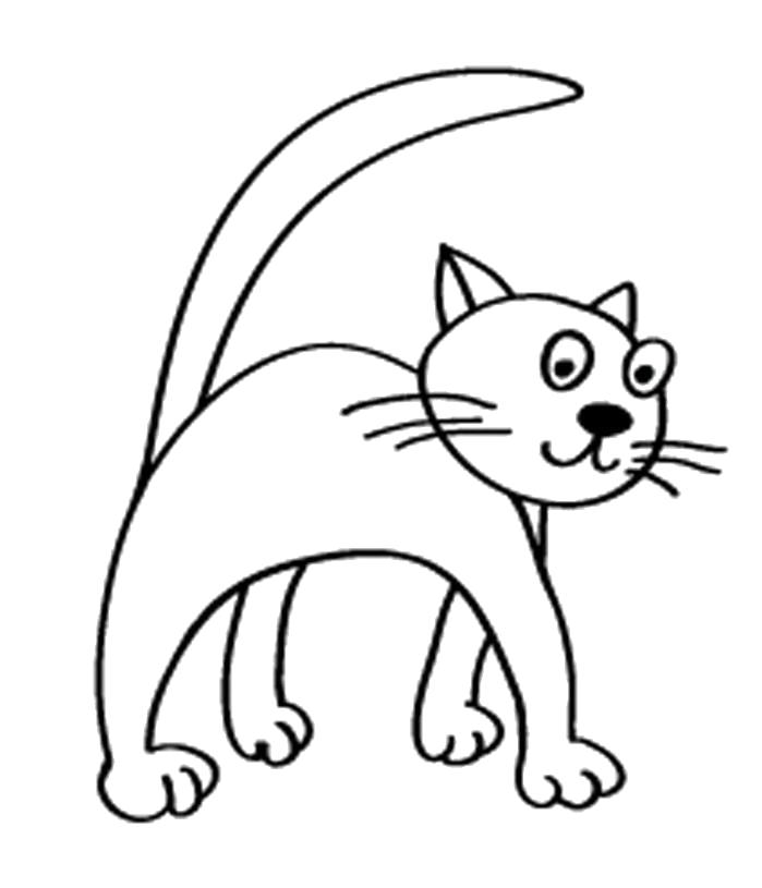 Название: Раскраска Раскраска Кот. Категория: Домашние животные. Теги: кошка, кот.