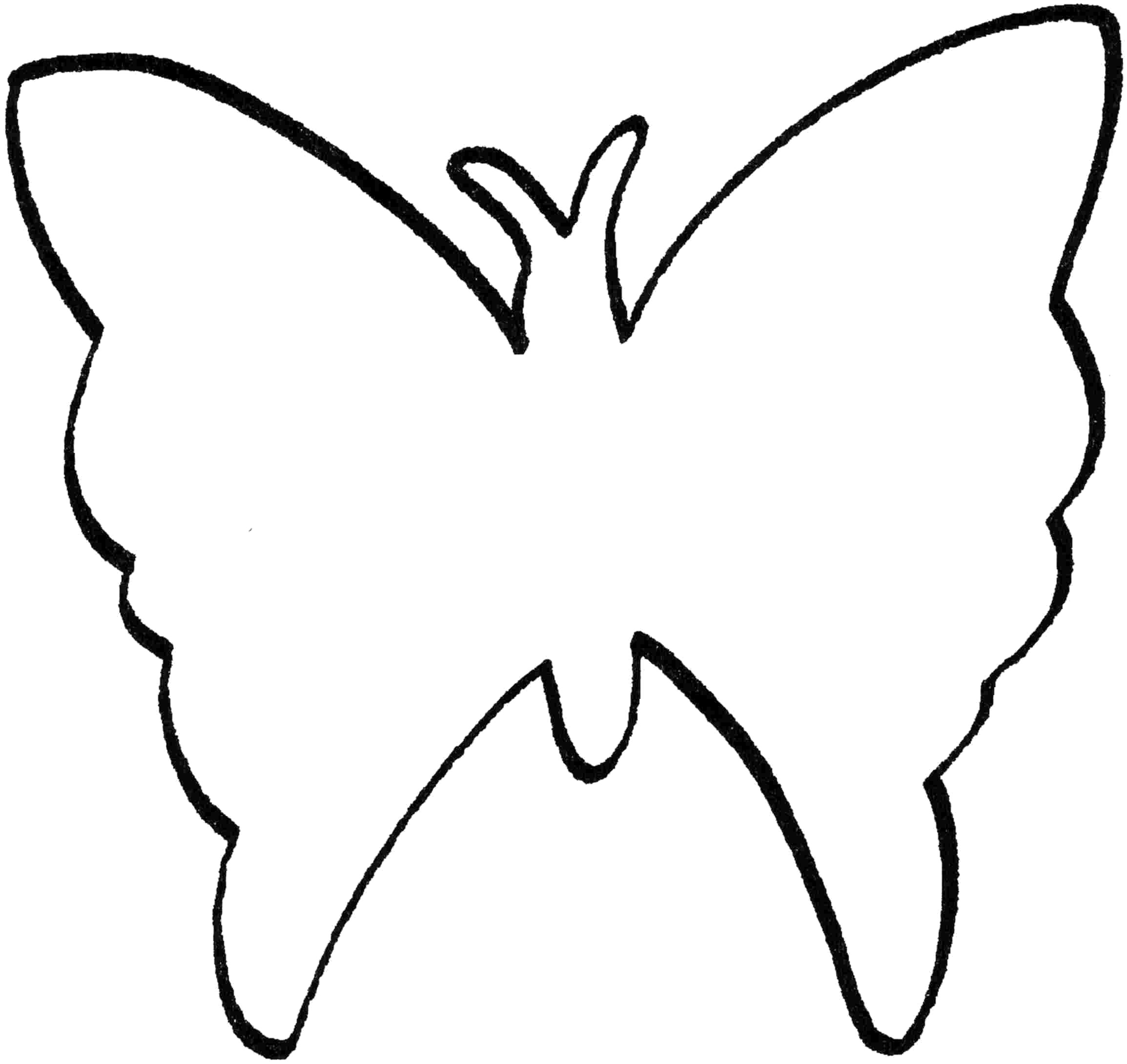 Раскраска Контур бабочки. Скачать бабочка.  Распечатать бабочка