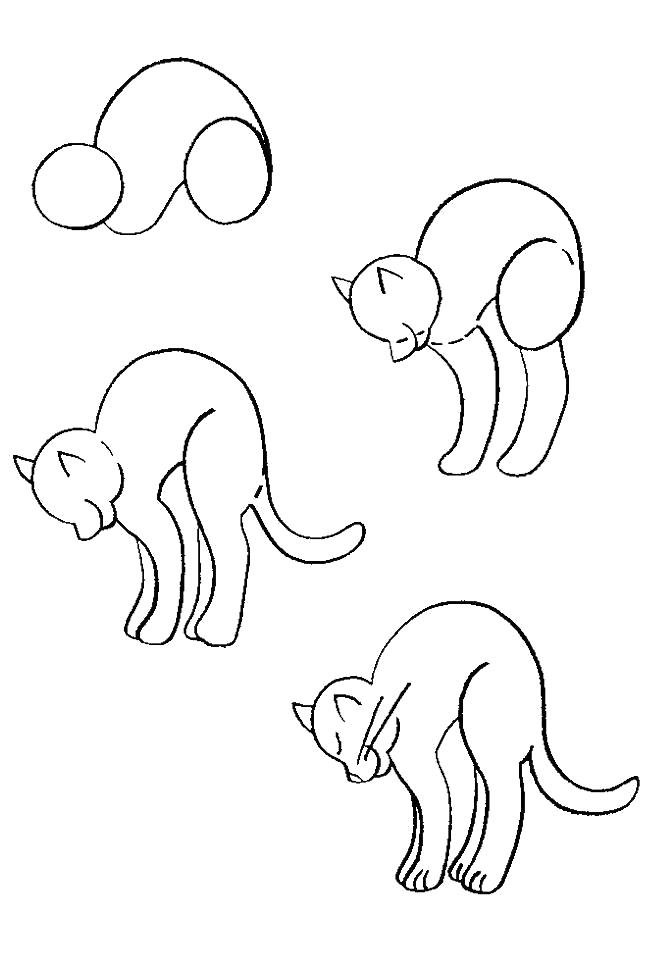 Раскраска Как нарисовать котенка поэтапно, фото . Скачать как нарисовать.  Распечатать Учимся рисовать
