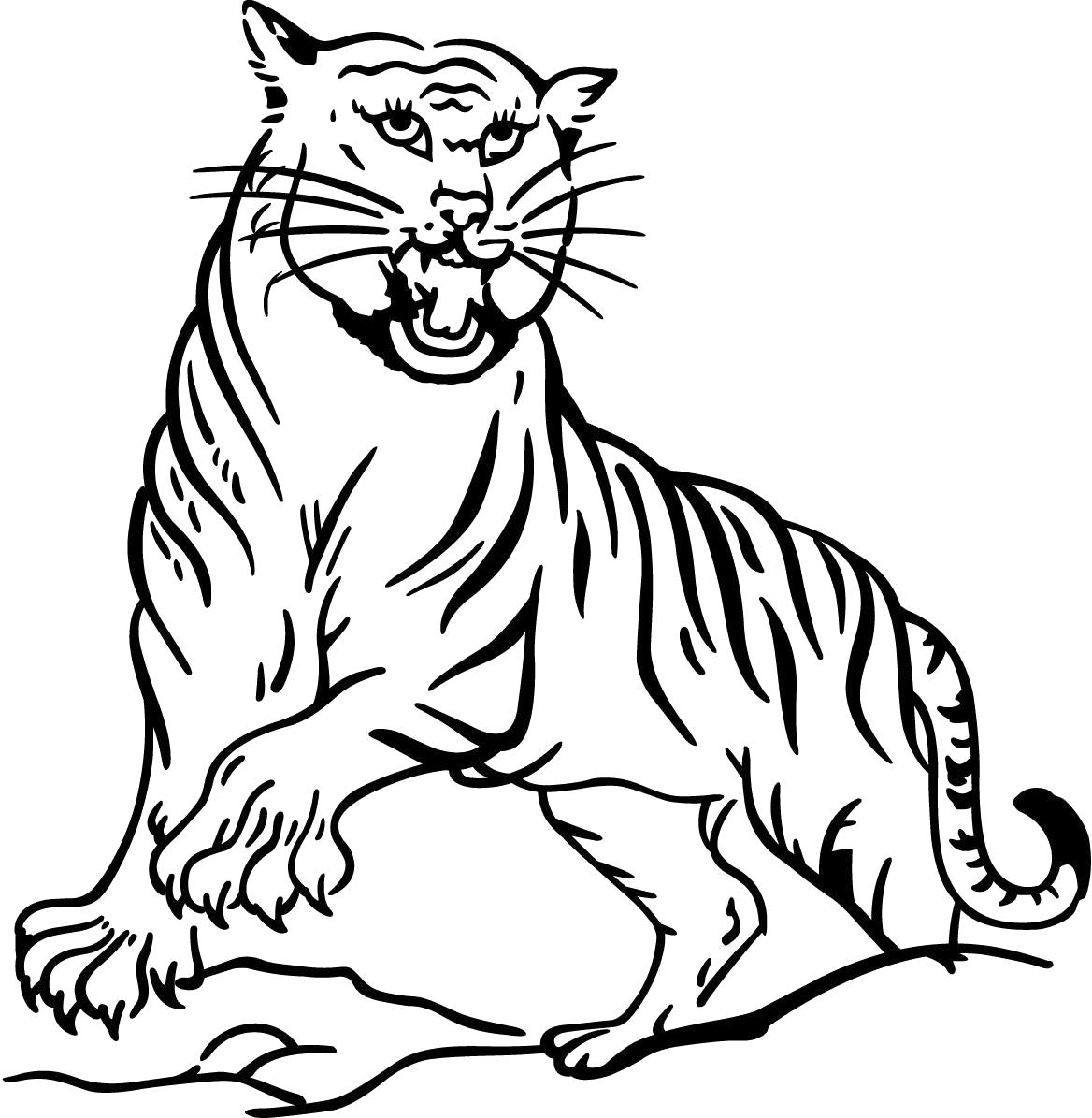 Раскраска тигр с когтями. Скачать Тигр.  Распечатать Дикие животные