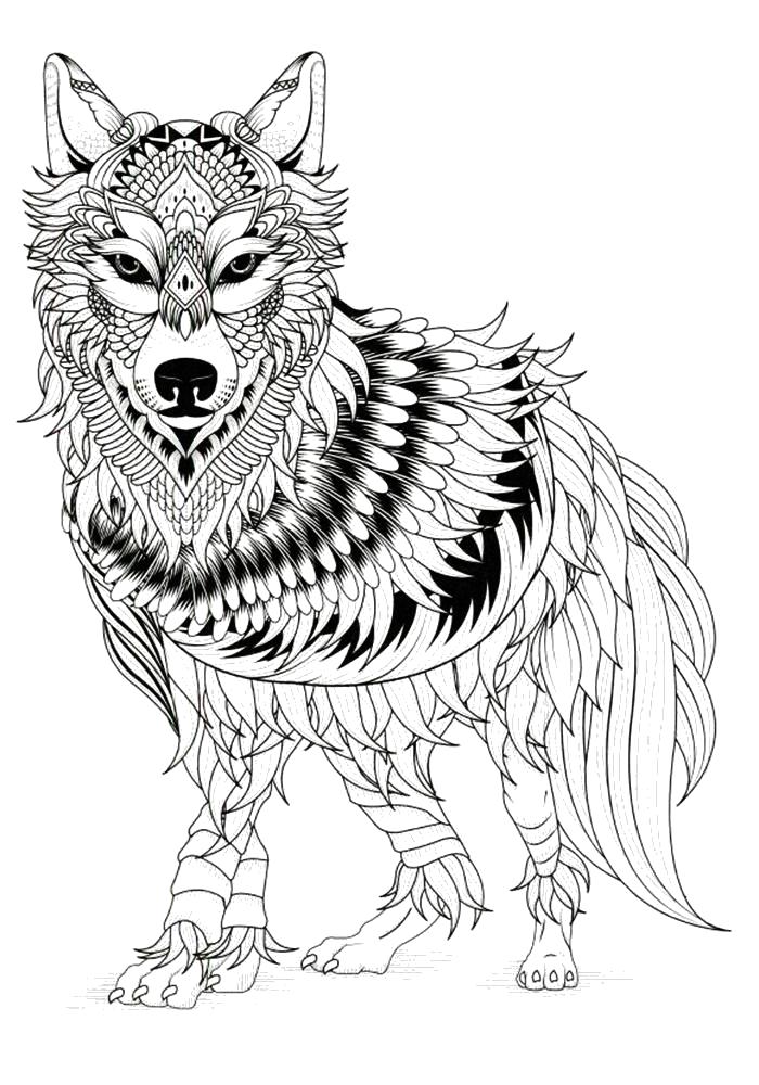 Раскраска Раскраски антистресс волк. Дикие животные