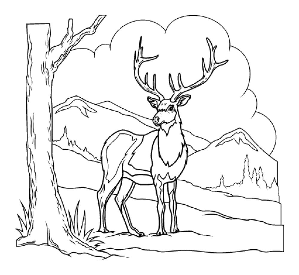 Раскраска Раскраски фоне раскраска животные, природа, дикие животные, лесные животные, раскраска олень, рогатый олень, горы . Дикие животные