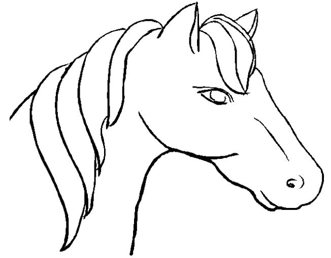 Раскраска  голова лошади. Домашние животные
