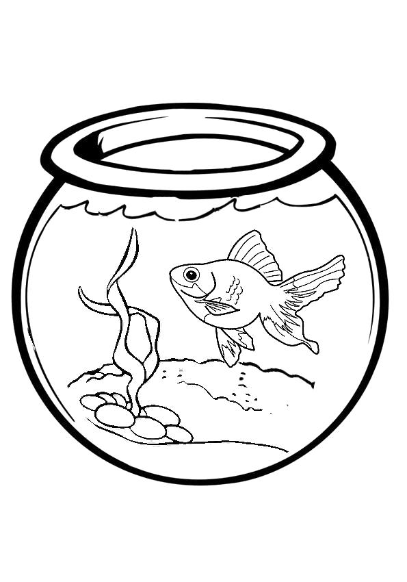 Раскраска Обитатель аквариума. Скачать Аквариумные рыбы.  Распечатать Аквариумные рыбы
