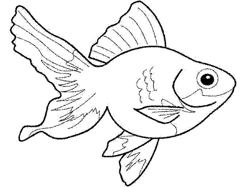 Название: Раскраска Золотая рыбка. Категория: Морские животные. Теги: Рыбы.