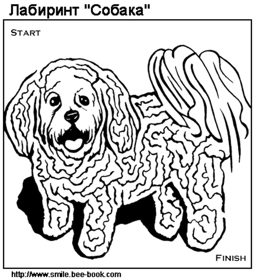 Название: Раскраска Лабиринт развивающие игры, собака. Категория: лабиринт. Теги: лабиринт.