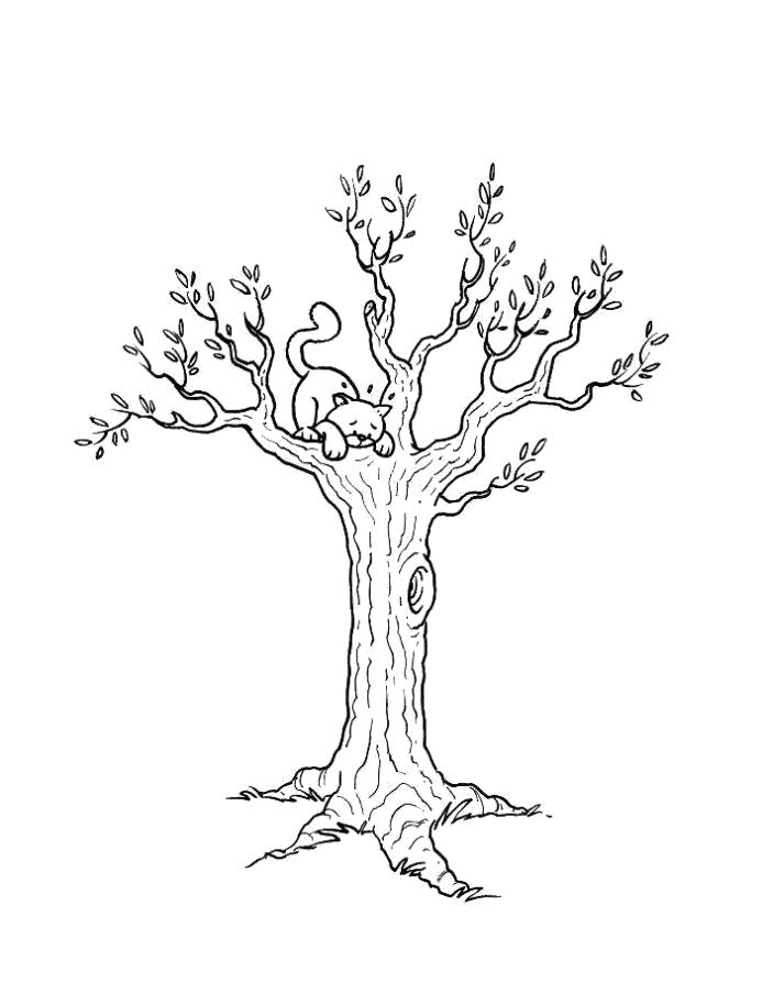 Название: Раскраска Раскраска дерево весной. Категория: растения. Теги: дерево.