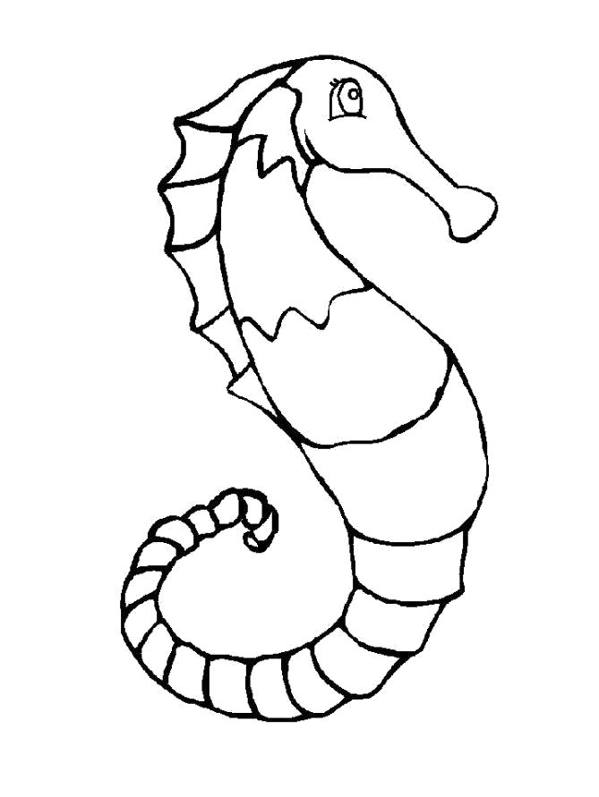Раскраска  Морской конек для детей. Скачать Морской конек.  Распечатать Морские животные