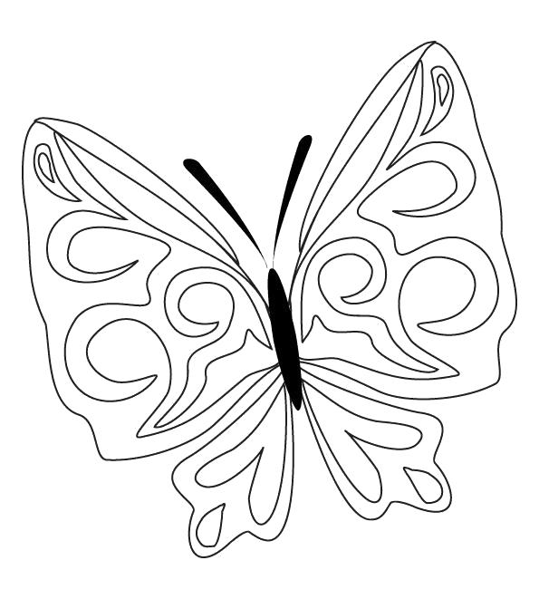 Раскраска узоры на крыльях у бабочки. Скачать Бабочки.  Распечатать Бабочки