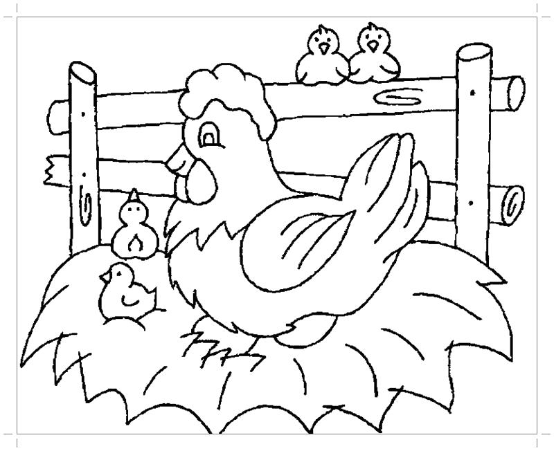 Раскраска  курица для малышей. Скачать Курица, Цыплята.  Распечатать Домашние животные