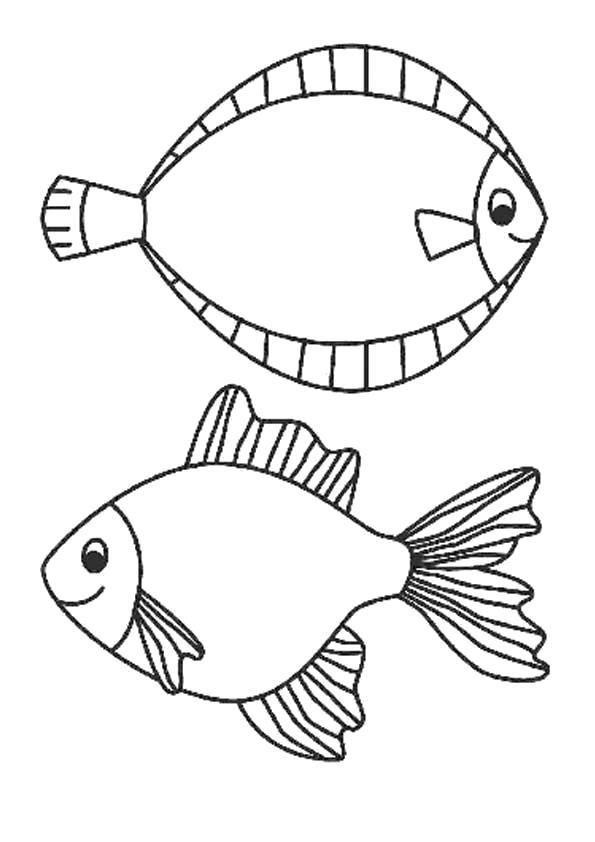 Раскраска Морские раскраски - Красивые рыбки. 