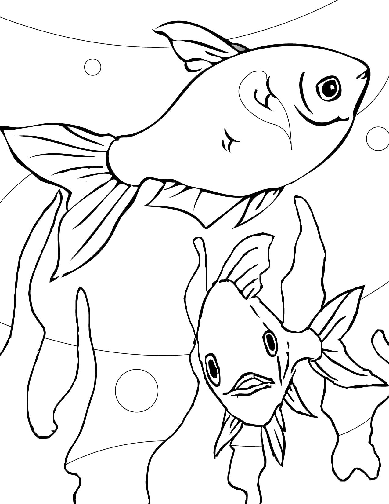 Раскраска Золотые рыбки. рыба