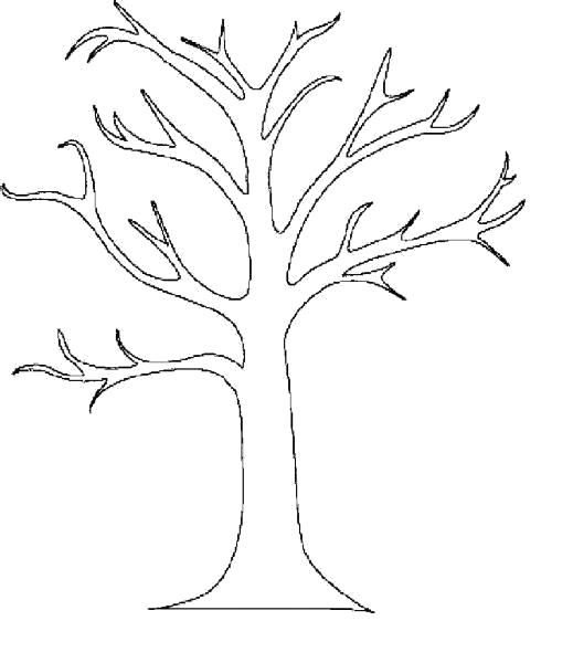 Раскраска Раскраски "дерево без листьев" . растения