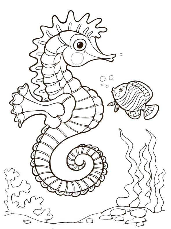 Название: Раскраска морской конек и рыба. Категория: Морские животные. Теги: Морской конек.