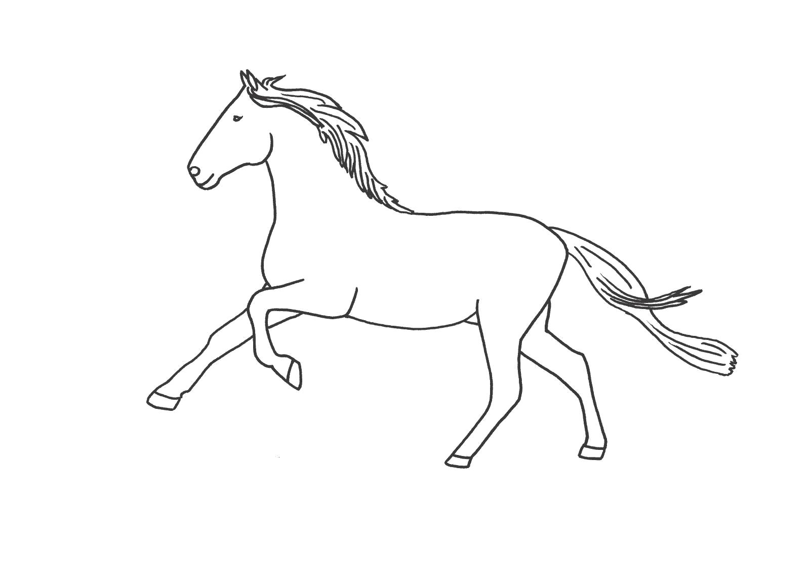Раскраска Раскраска лошади. Домашние животные