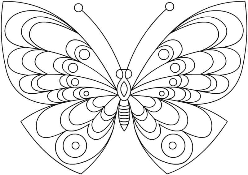 Раскраска Крылатая бабочка. 