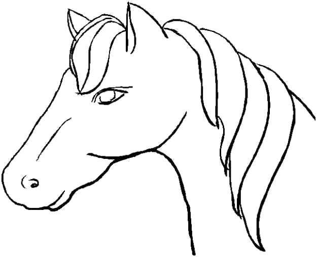 Название: Раскраска Мордашка коня. Категория: Лошади. Теги: Лошади.