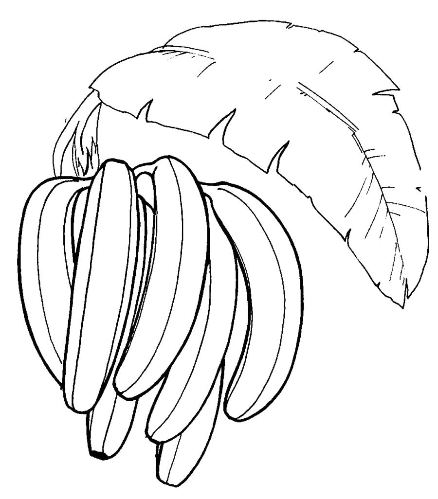 Раскраска Гроздь бананов. Фрукты