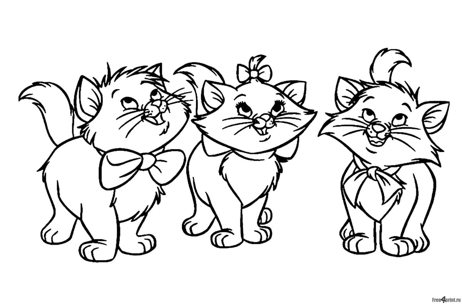 Раскраска Три котенка с бантиками. Домашние животные