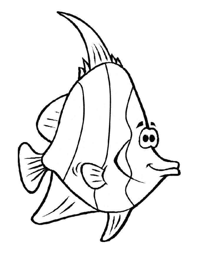 Название: Раскраска рыбка . Категория: Рыбы. Теги: рыба.