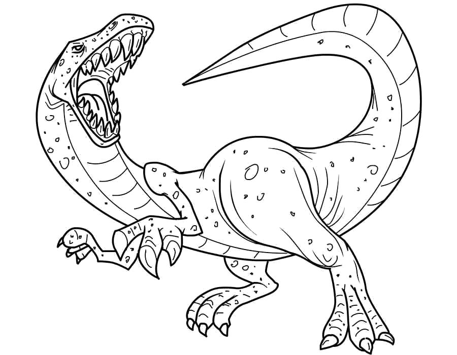 Раскраска Раскраски динозавры, хищник, серьезный дино, страшный дино. динозавр