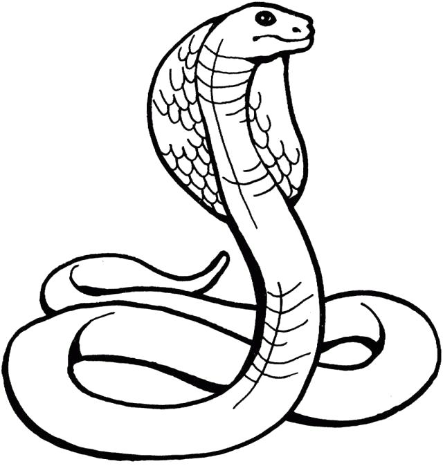 Название: Раскраска раскраска кобра. Категория: Дикие животные. Теги: Змея.