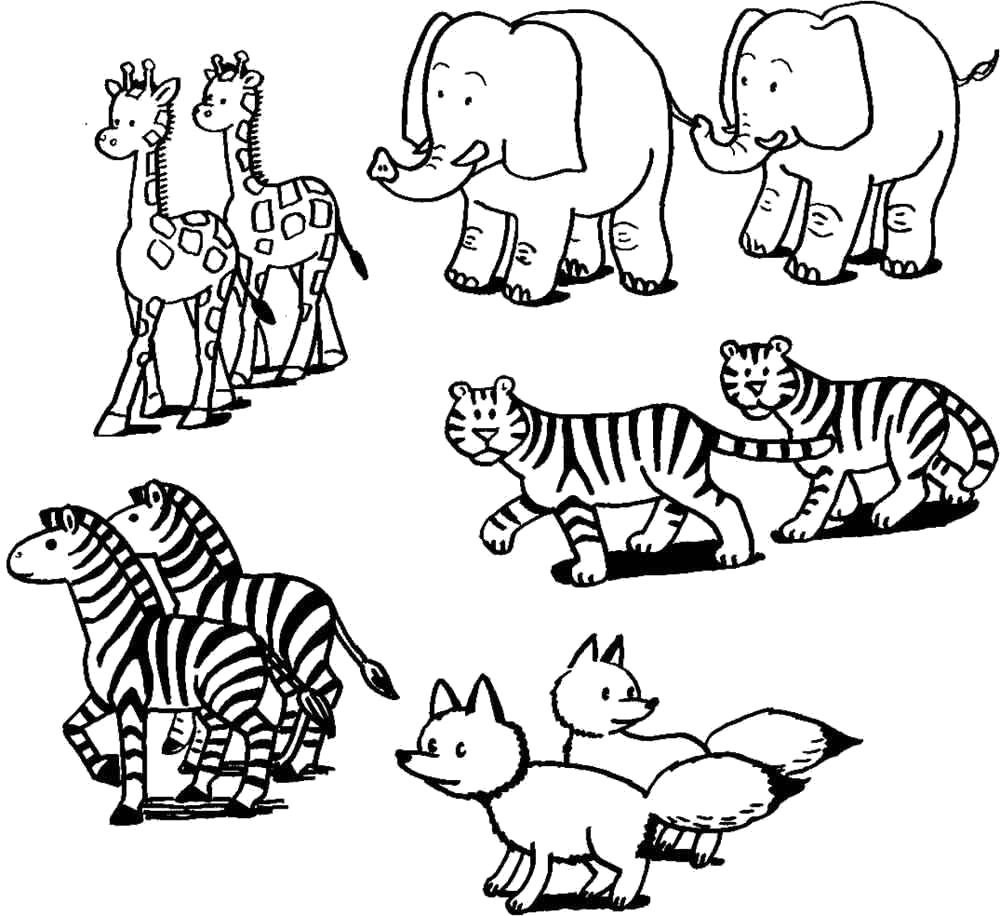 Раскраска Скачать или распечатать раскраску, слоны, жирафы, тигры, зебры, лисы . Скачать Тигр, слон, жираф, зебра, лиса.  Распечатать Дикие животные