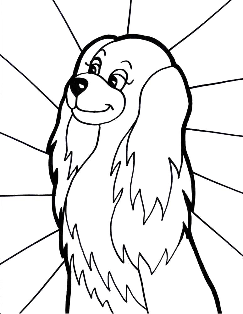 Раскраска Ушастая собака. Домашние животные