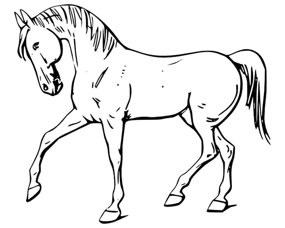 Название: Раскраска Раскраска лошадь. Категория: Домашние животные. Теги: Лошадь.