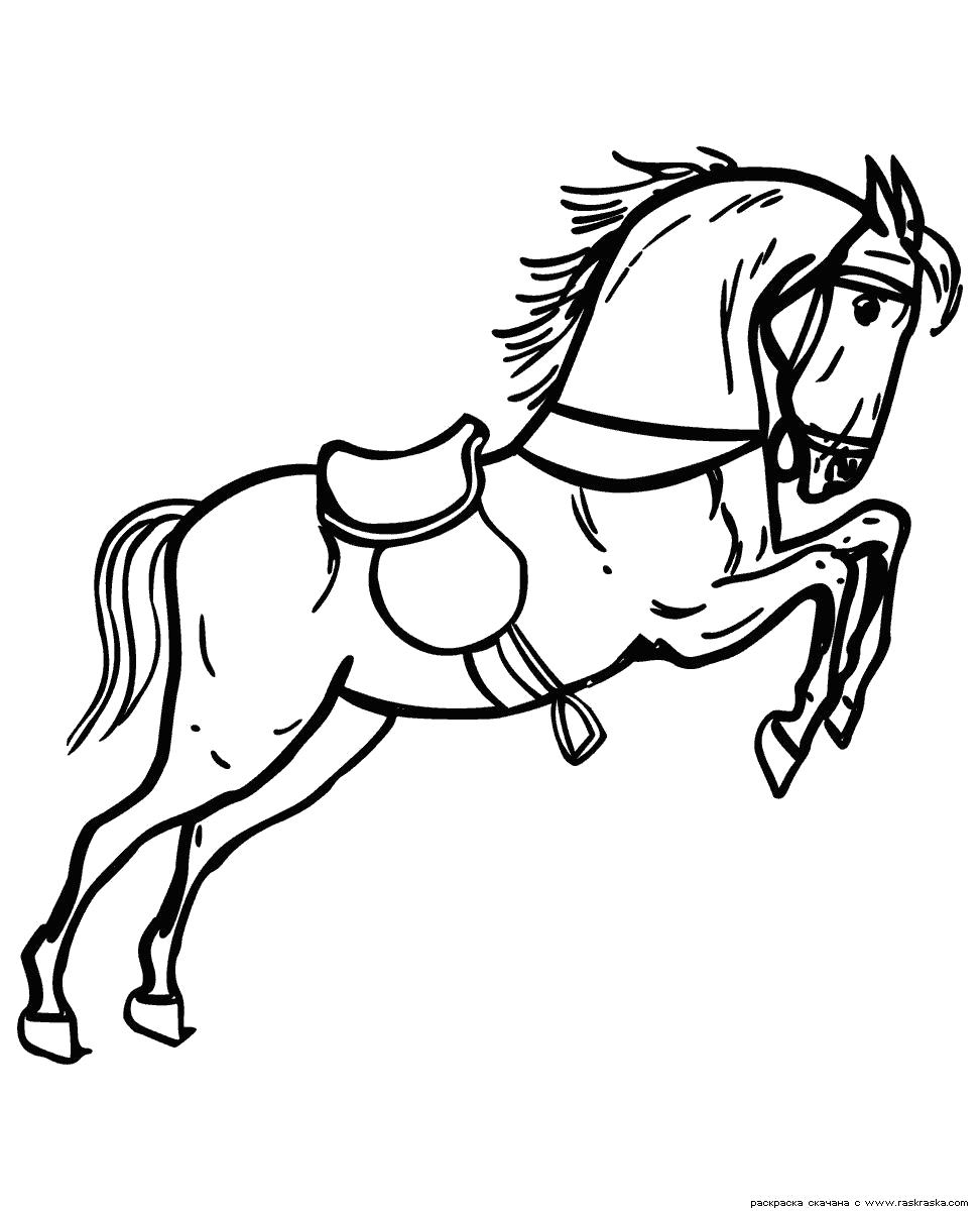 Название: Раскраска Раскраска Лошадка. Категория: Домашние животные. Теги: Лошадь.