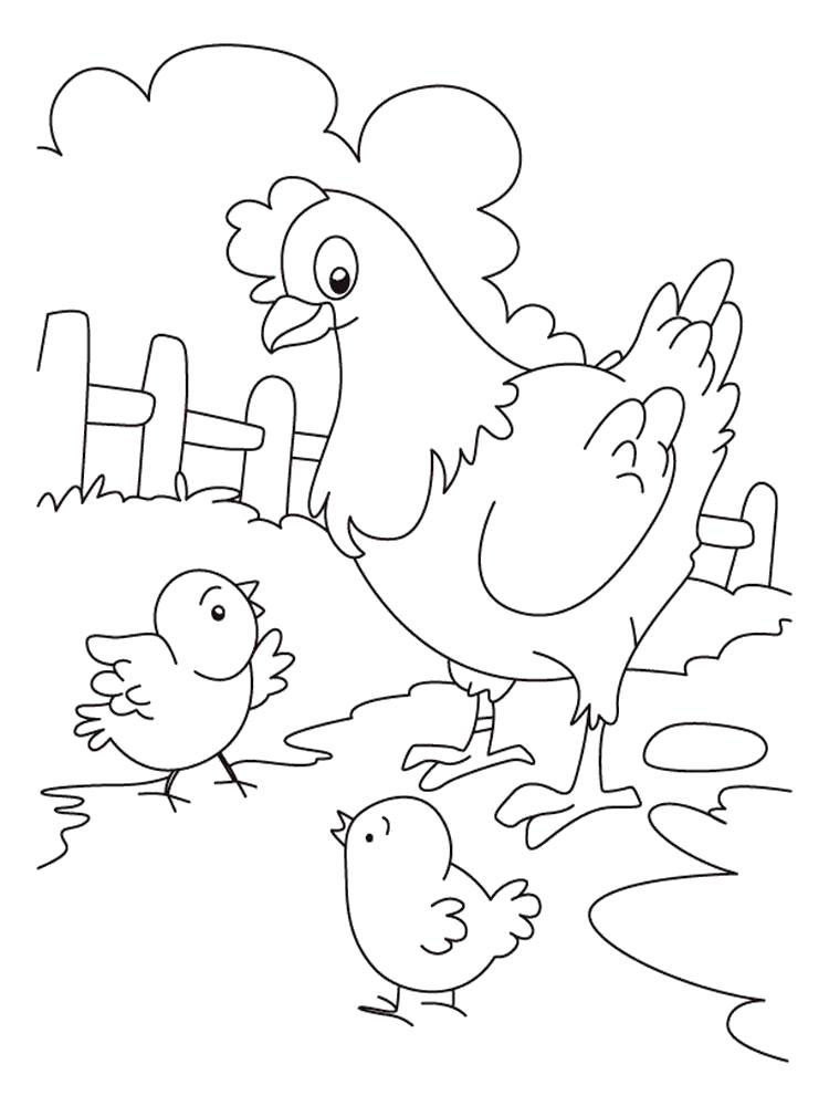 Название: Раскраска Раскраска курица. Категория: Домашние животные. Теги: Петух, Цыплята.