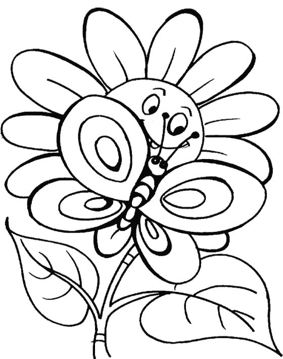 Раскраска Бабочка на ромашке. Насекомые