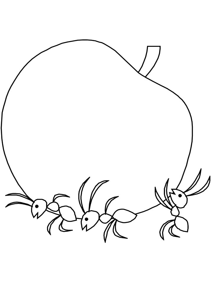 Название: Раскраска Раскраска Муравьи несут яблоко. Категория: Насекомые. Теги: Муравей.
